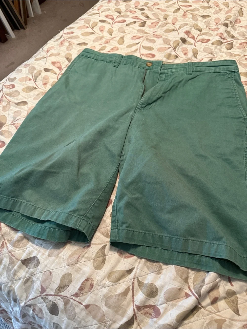 Lands' End Men's Green Cotton Shorts